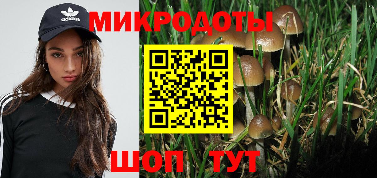 что такое наркотик  Псилоцибиновые грибы Psilocybe  Вход с VPN  Бийск 