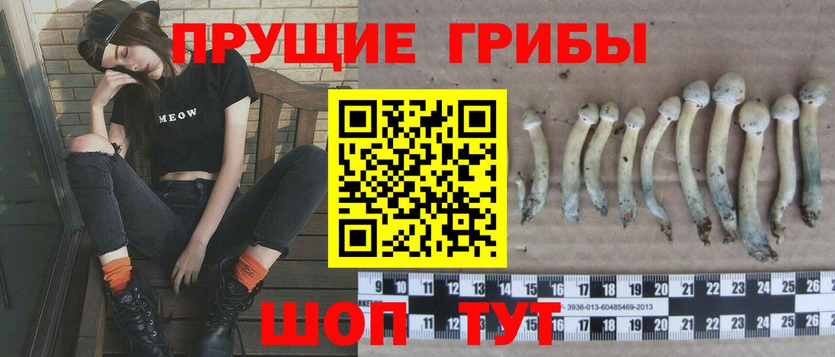 Псилоцибиновые грибы ЛСД Бийск